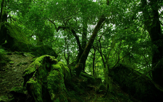 473263 (a): :1920x1200